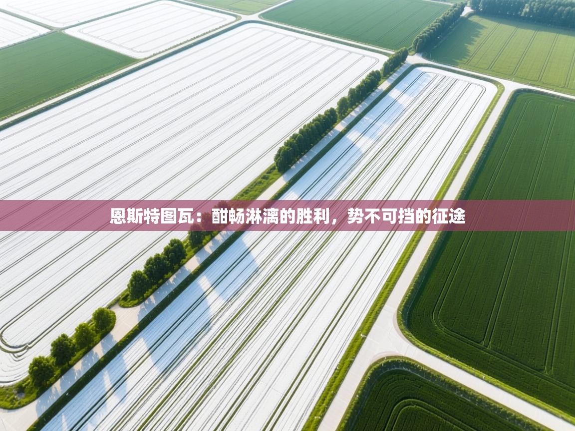 恩斯特图瓦：酣畅淋漓的胜利，势不可挡的征途  第2张